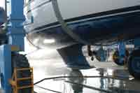 sauber